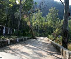 Tour Package In Dharamshala