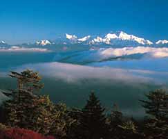 Honeymoon In Dharamshala